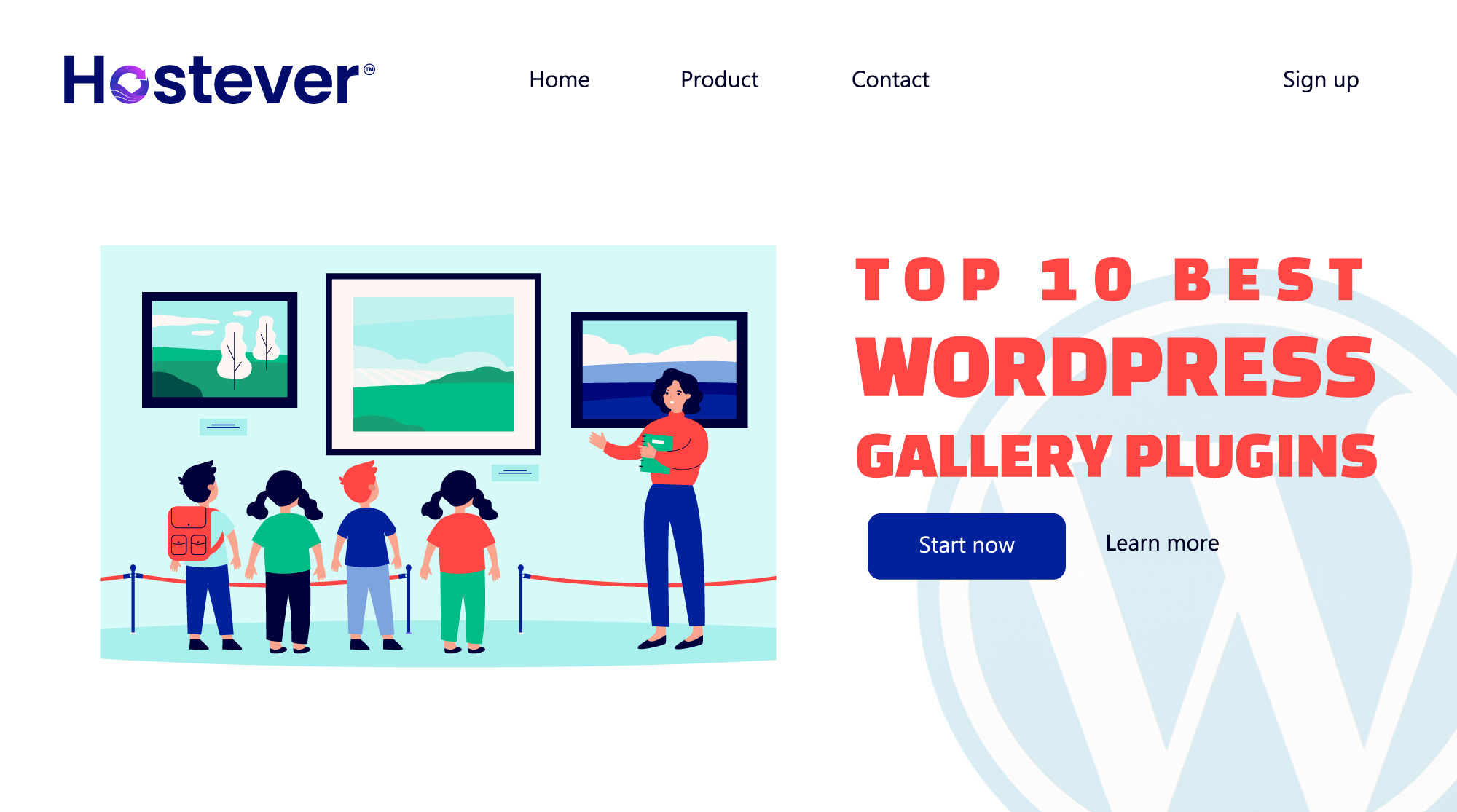 Top 10 Best WordPress Gallery Plugins